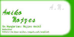 aniko mojzes business card